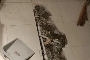 旅顺口卫生间漏水检测电话